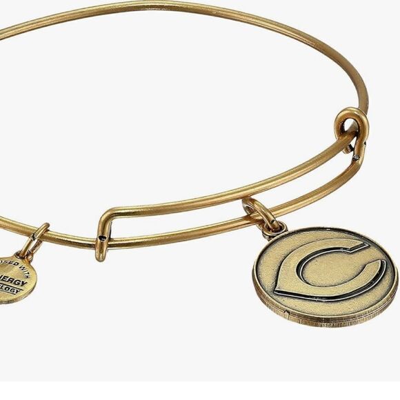 Alex and Ani MLB® Cincinnati Reds Charm Bangle Rafaelian Gold Finish! - Picture 3 of 6